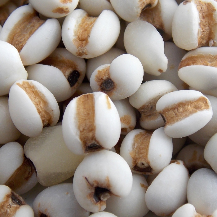 女人那里越“湿”就会越麻烦老公们要学会几招制胜法宝！