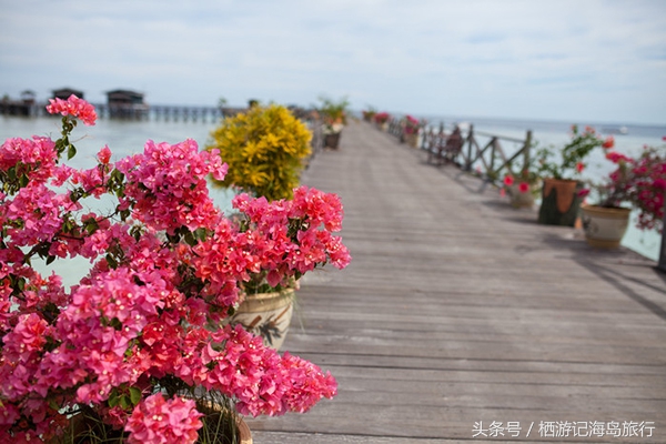 马来西亚仙本那最海岛海景,马来西亚仙本那海岛推荐