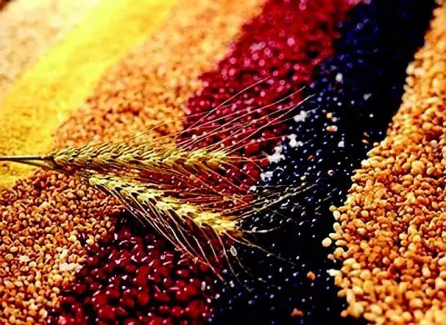 在瑞士吃东西,在瑞士吃啥