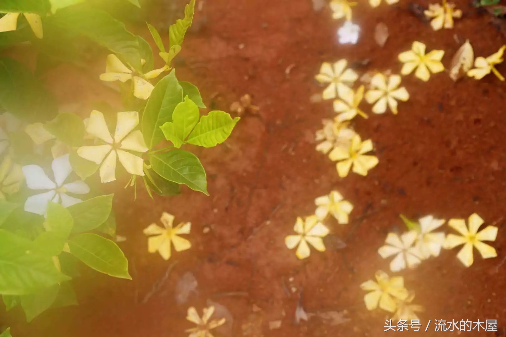 德兴黄柏最新消息,德兴黄柏火灾新闻