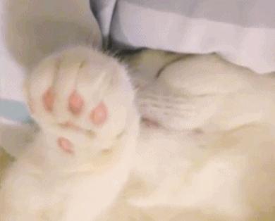 如何辨别儿童猩红热,儿童猩红热的症状与表现