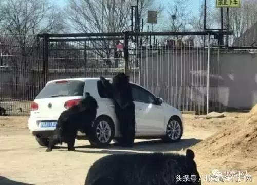 渭南新闻快报电话,渭南新闻头条24日