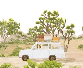 武汉野炊地点推荐,武汉周边烧烤野炊好去处