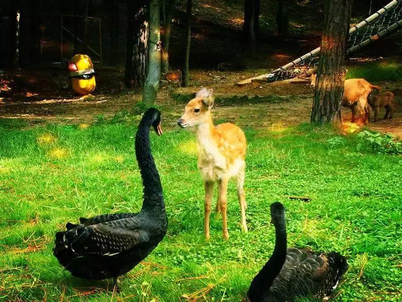 武汉野炊地点推荐,武汉周边烧烤野炊好去处