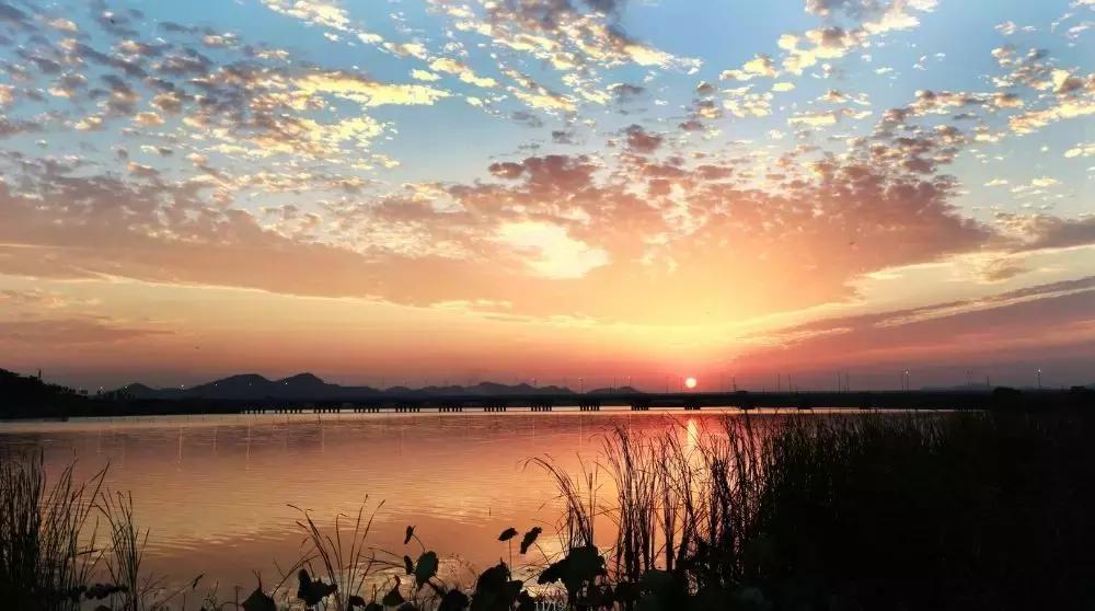 武汉野炊地点推荐,武汉周边烧烤野炊好去处