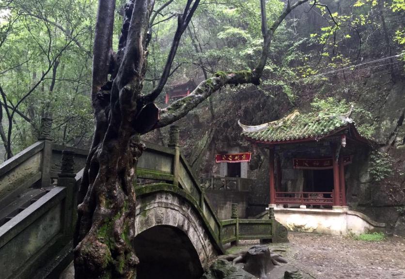 安康籍著名影视演员张嘉译,陕西知名演员张嘉译