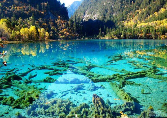 讲真，送你一场5*级A**的免费旅行！