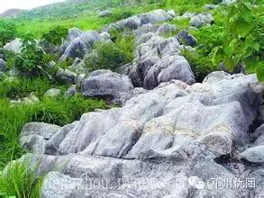 离开邓州?别逗了,五年后的大邓州,你高攀不起!