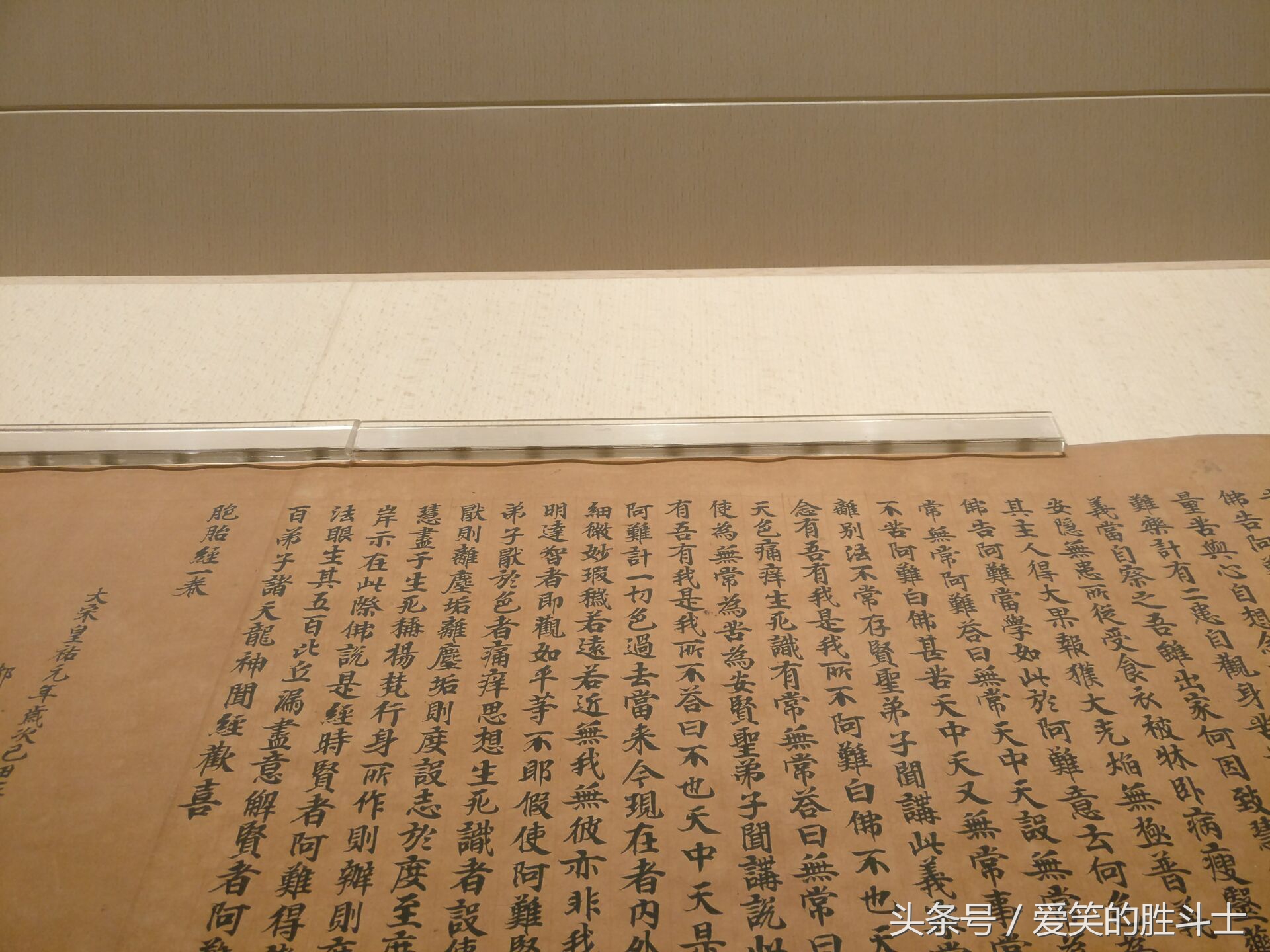 上海浦东一日游手绘图,上海浦东一日游多少钱