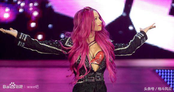 wwe送葬者的老婆,盘点wwe里面的摔角选手的家人