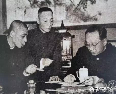 后备人才培养个人总结,后备人才培养措施及效果