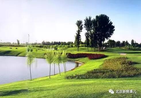 北京植物园踏青赏花,踏青赏花北京