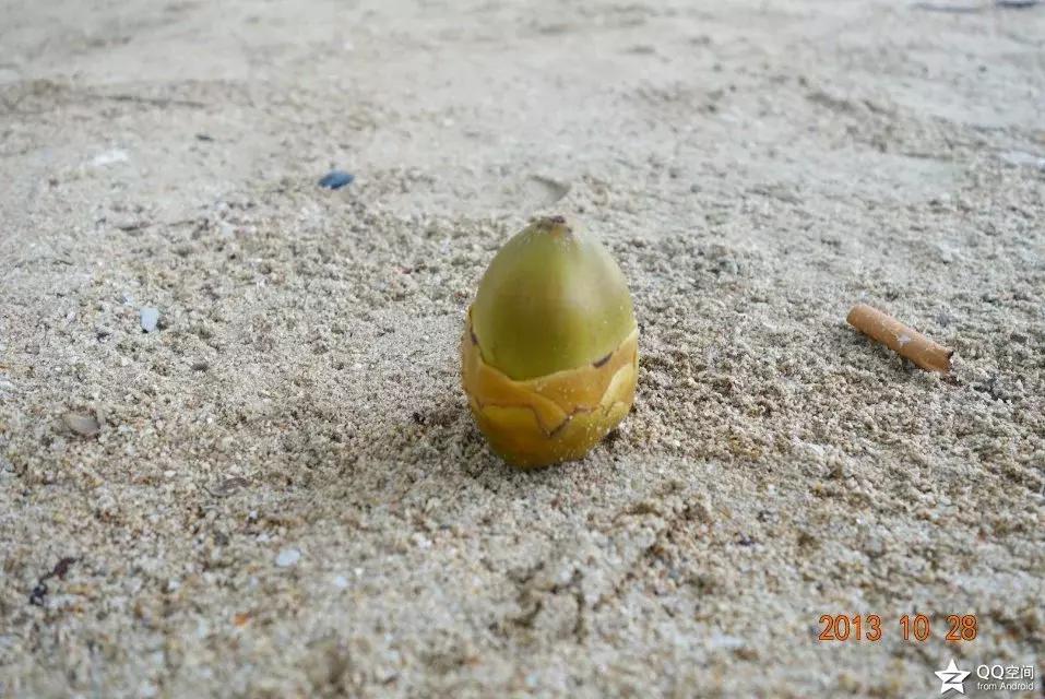 海南环岛自由行攻略最详细,海南环岛骑车多少公里