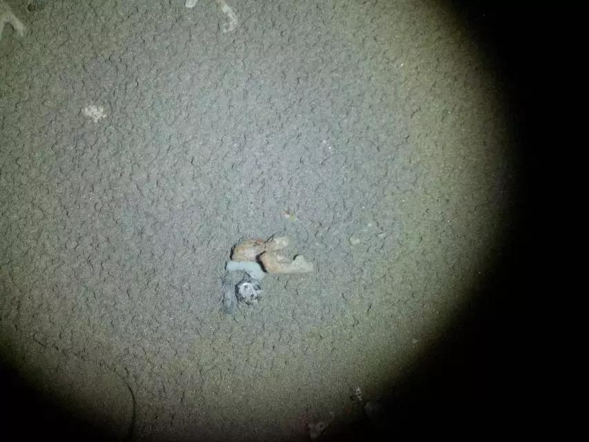 海南环岛自由行攻略最详细,海南环岛骑车多少公里