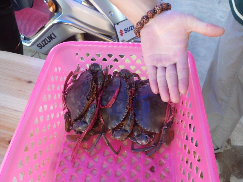 海南环岛自由行攻略最详细,海南环岛骑车多少公里