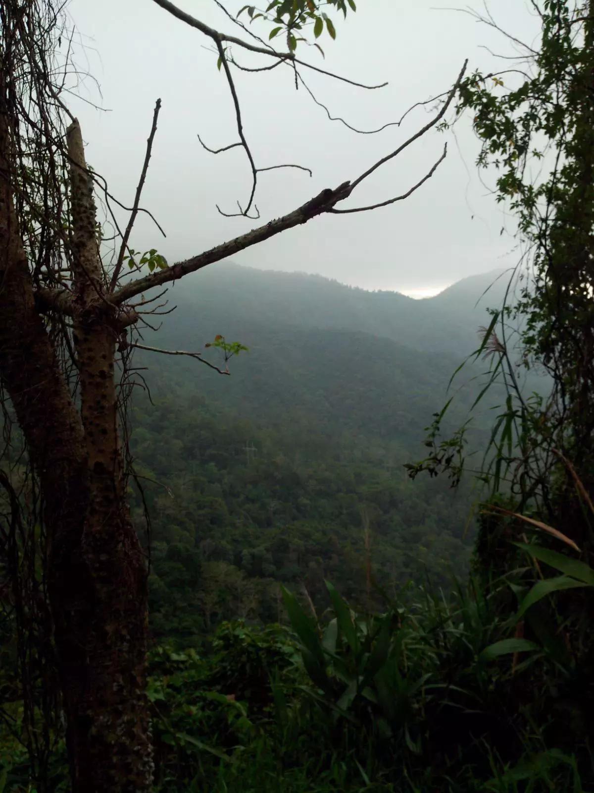 海南环岛自由行攻略最详细,海南环岛骑车多少公里