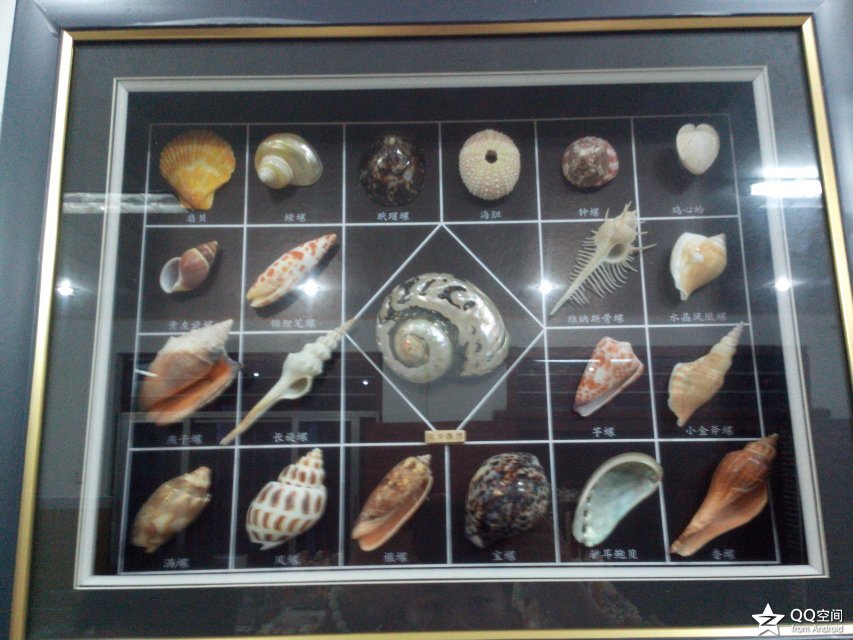 海南环岛自由行攻略最详细,海南环岛骑车多少公里