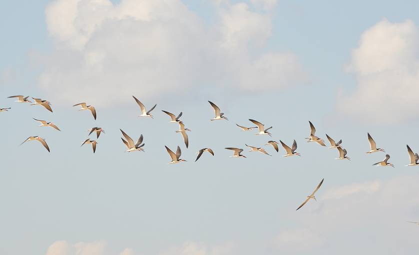 初中物理运动和力中考知识点总结,初中物理力与运动易错题及答案