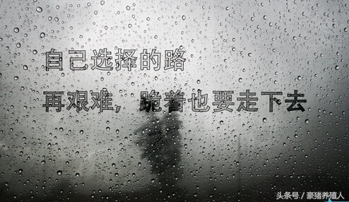 创业路上都会有各式各样的艰难,创业之路的艰辛只有自己懂得