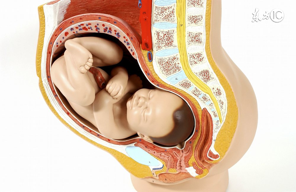 宝宝脐带绕颈孕妈怎么做才好,胎儿绕颈一周妈妈该怎么做