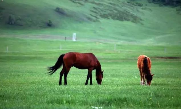 玩转英语词汇大全,玩转英语单词速记
