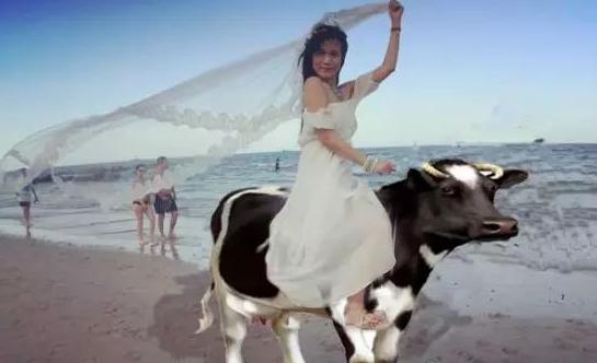 玩转英语词汇大全,玩转英语单词速记