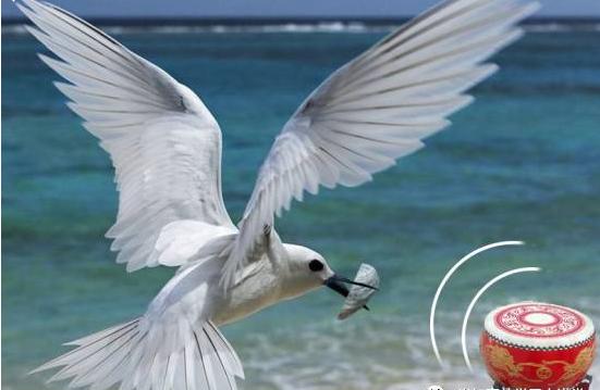 玩转英语词汇大全,玩转英语单词速记