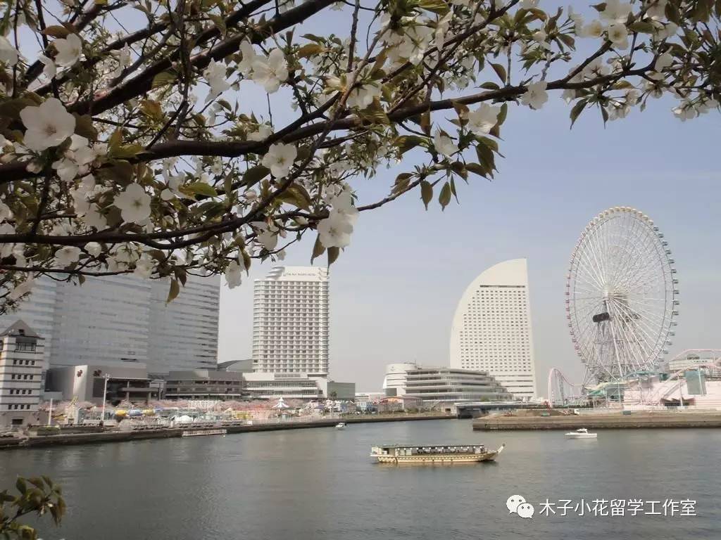 横滨国际学园官网,横滨国际教育