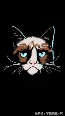 iphone超有质感的壁纸,关于黑色的高级感iphone壁纸