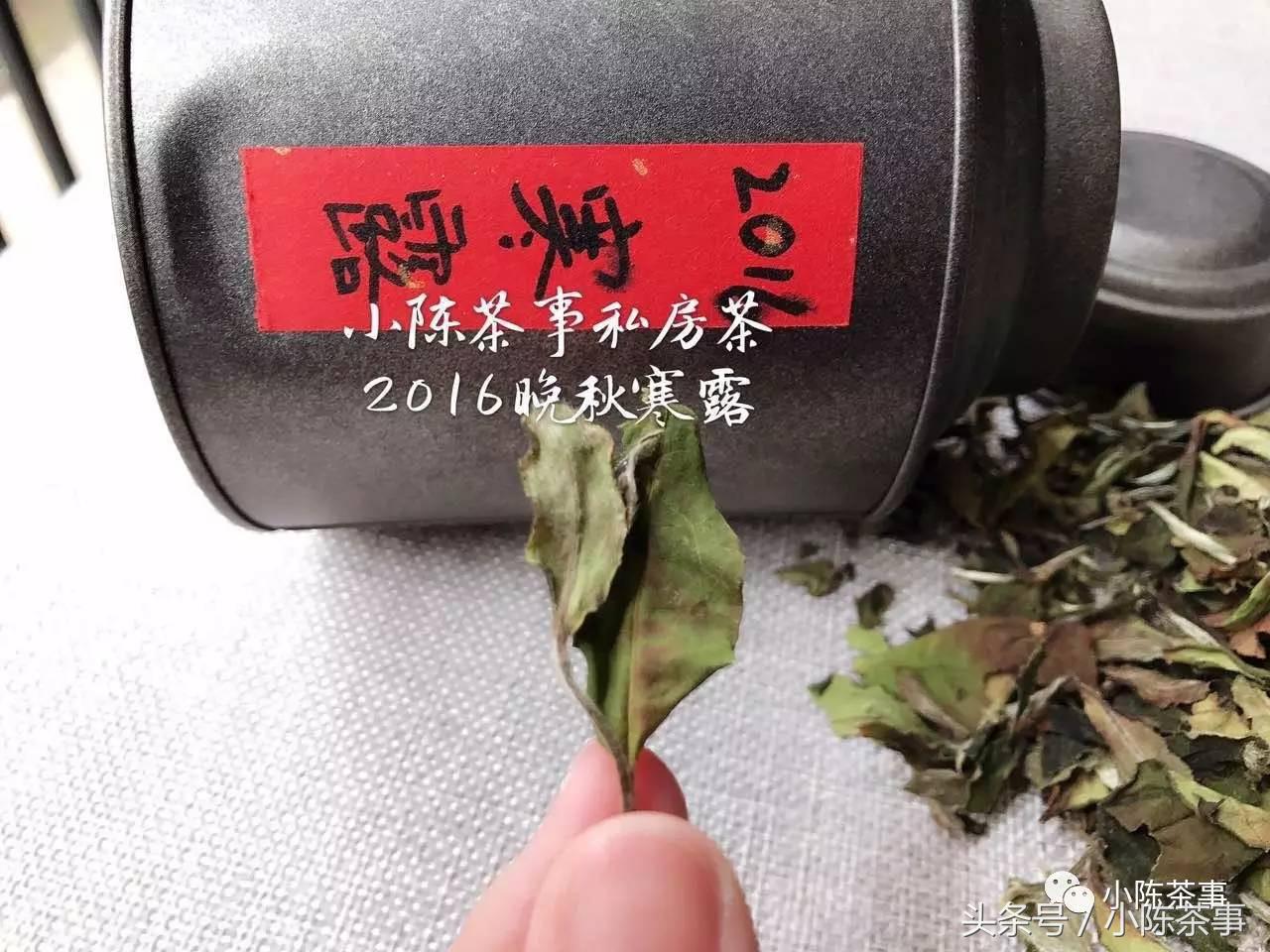 痛风患者科学饮食调理书,痛风患者喝什么茶
