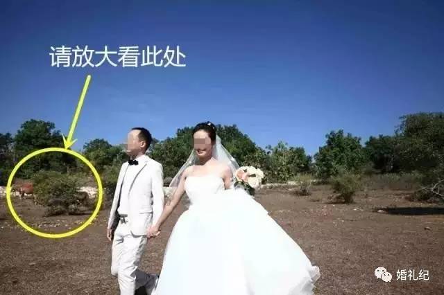 花2万拍婚纱照冤不冤,花了2万块钱拍婚纱照