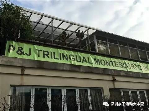 深圳市南山区幼儿园择校最全攻略,深圳南山要择校怎么考