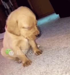 立体空调高端,360度全方位立体环绕空调