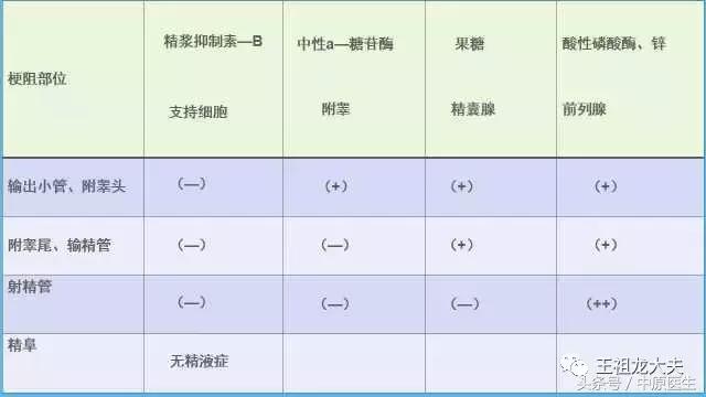 精浆生化分析报告怎么看,精浆生化是怎么检查的
