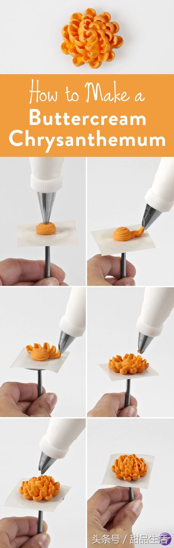 新手常用的裱花嘴,一次性裱花袋怎么剪花型裱花嘴