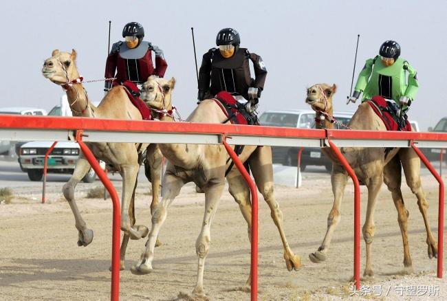 迪拜为什么这么有钱图片,迪拜有多有钱图片