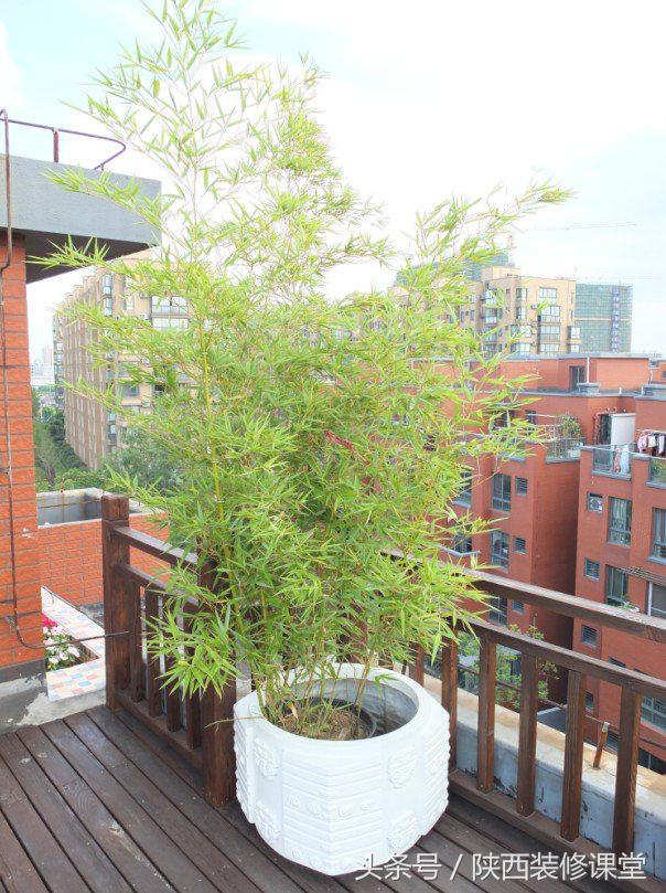 原木风一梯一户,一户一房一厅装修效果图