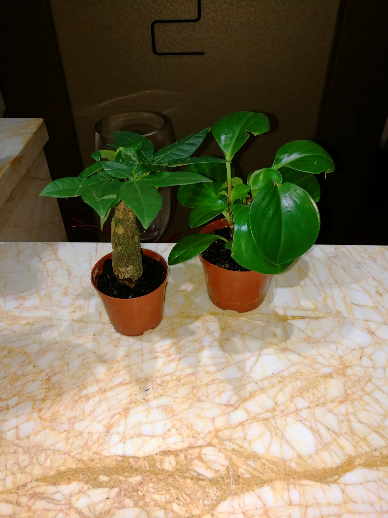 孙杨代言手机v9配置,荣耀v9孙杨代言