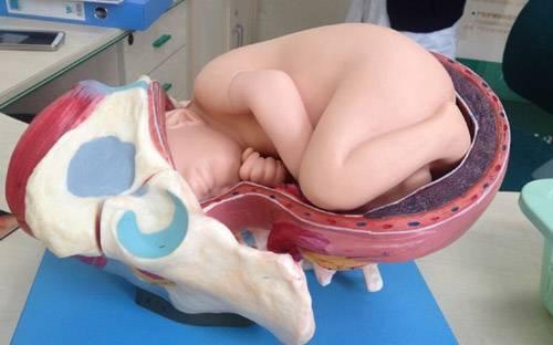 生孩子怎么开十指,女人生孩子开十指