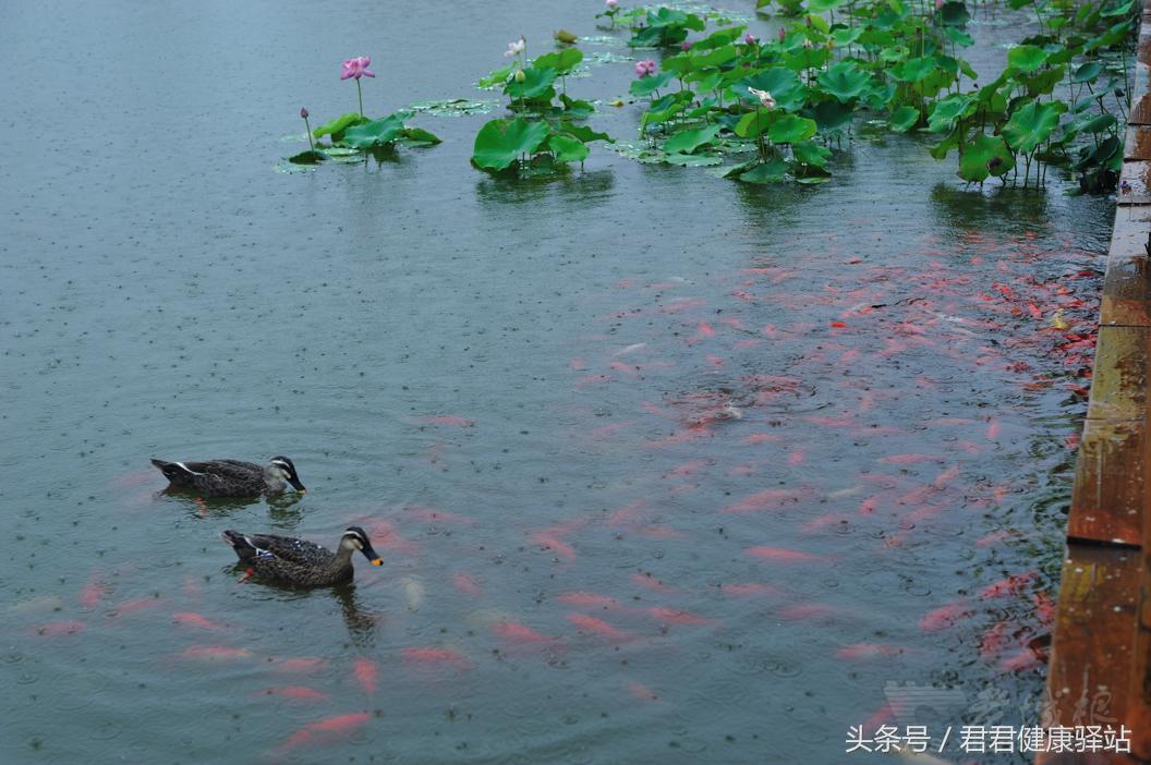冷水洗头对身体有什么危害,冷水洗衣服对身体会有伤害吗
