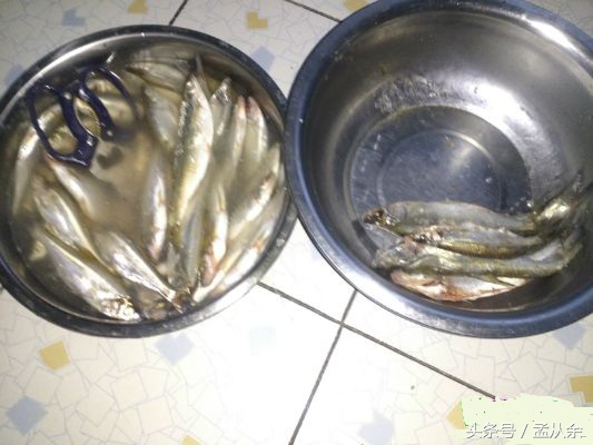 下酒必备鱼,下酒好菜谱100例