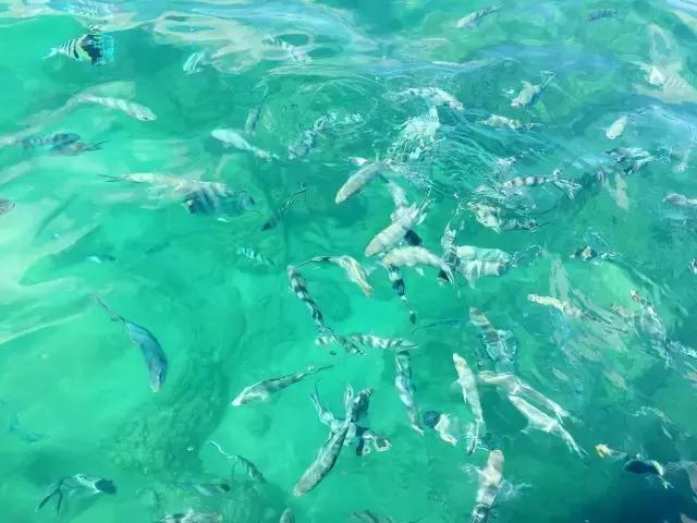 毛里求斯，拿水壶换保时捷的天堂