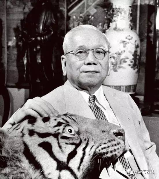 胡一虎张光义,胡一虎的早年经历