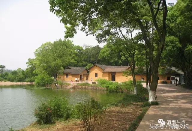 临渭区阳郭镇张胡村二组,渭南阳郭张胡村