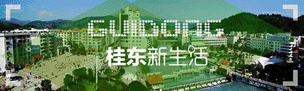 “南方夏都”桂东，平汝高速上的避暑休憩地