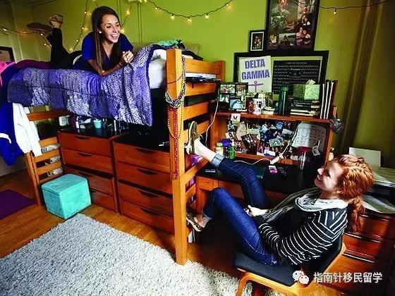 澳洲留学生的辛酸,澳洲留学生的套路