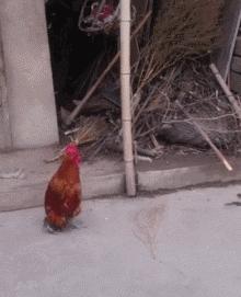 终于知道怎样跑才跑得快,知道这些学车技巧驾考轻松过