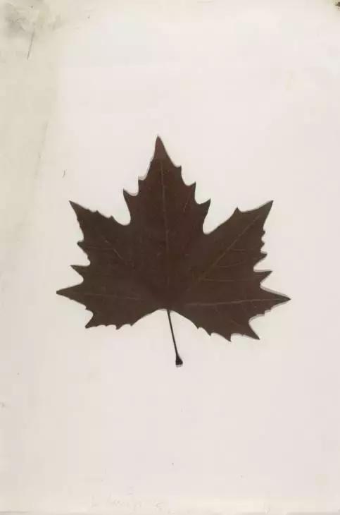 约瑟夫·博伊斯人人都是艺术家,人人都是艺术家这句话是谁说的