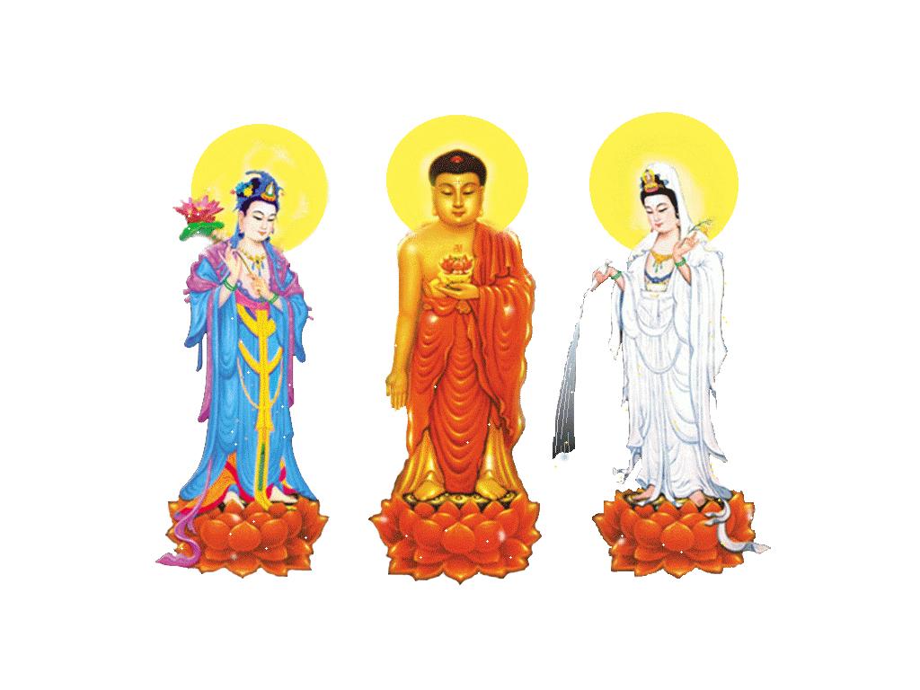 1985属牛人2017运势如何,1985年出生的牛在2023年运势