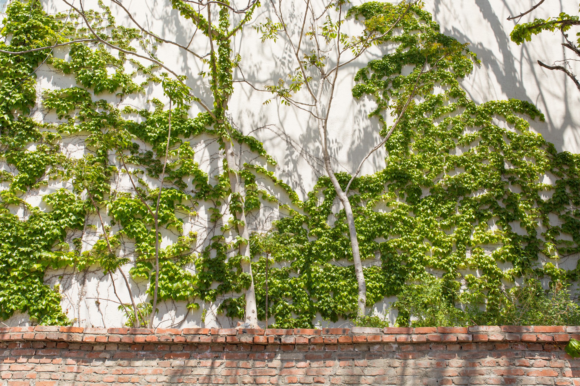 大连旧时光记忆图片,大连老街旧影